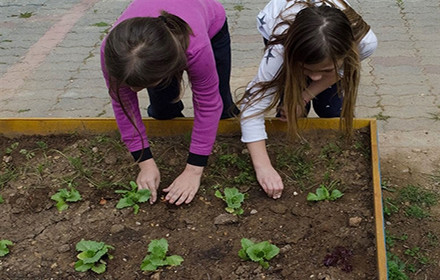 Η επανάσταση στη διατροφή ξεκινάει από το σχολείο: Λαχανόκηποι σε δημοτικά σχολεία σε όλη την Ελλάδα