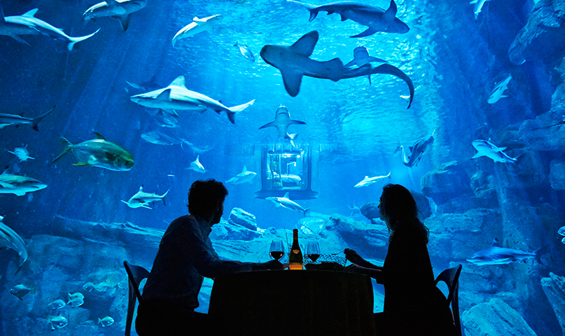 Νύχτα για δύο στο Ενυδρείο του Παρισιού παρέα με…  35 καρχαρίες [ΦΩΤΟ + ΒΙΝΤΕΟ]