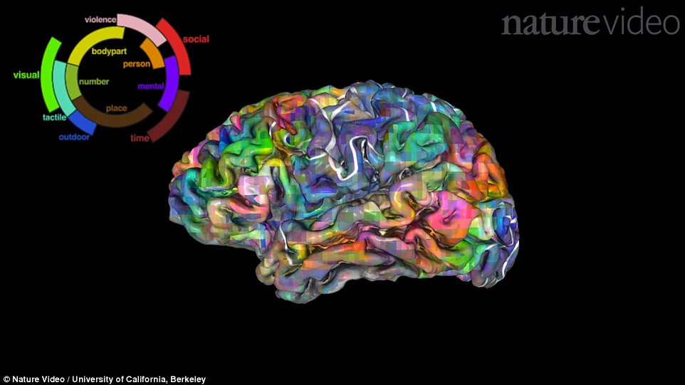 Χαρτογράφηση του εγκέφαλου με βάση τις λέξεις και τη γλώσσα