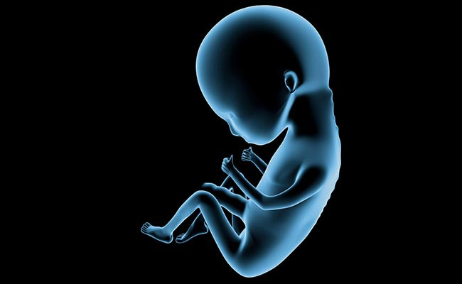 Διατήρησαν ανθρώπινο έμβρυο σε «σωλήνα» για μία εβδομάδα