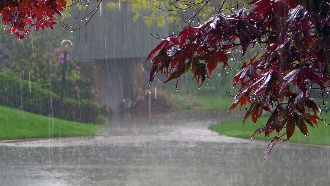 Βροχές, μποφόρ και καταιγίδες – Βελτίωση το απόγευμα