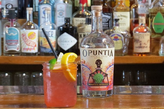 Opuntia Spirit: Η τεκίλα στα… κρητικά