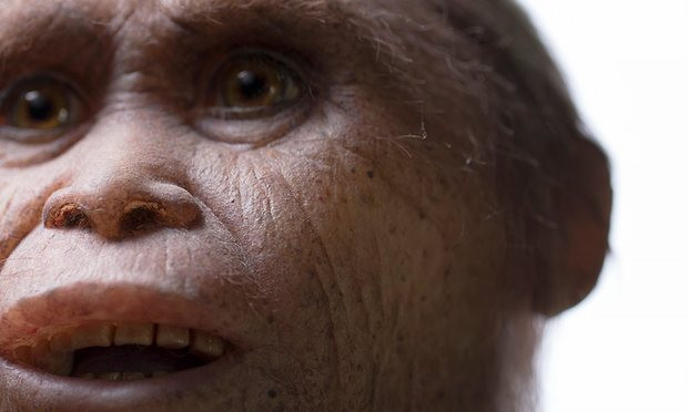 Βρήκαν νέα απολιθώματα των «Χόμπιτ» – Ήταν homo sapiens με νανισμό; [ΒΙΝΤΕΟ]