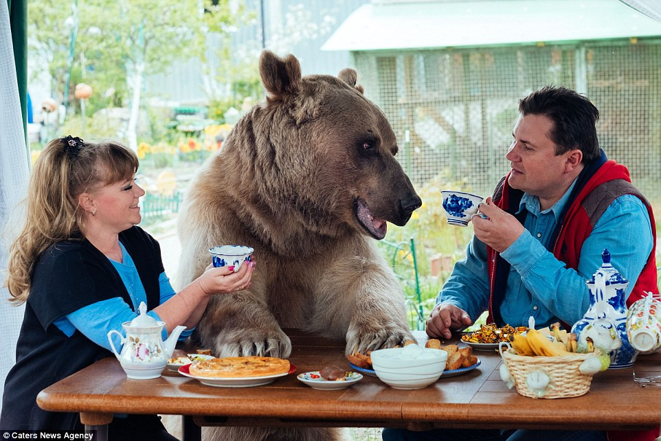 Ζευγάρι στη Ρωσία έχει υιοθετήσει και ζει με μια αρκούδα [Βίντεο]