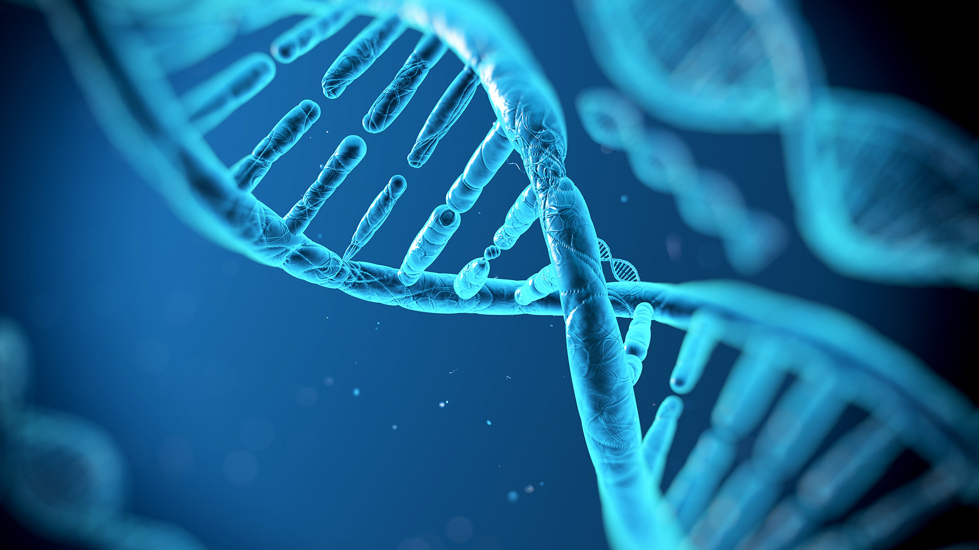 Η μεταθανάτια ζωή του DNA: Ζουν δύο ημέρες μετά τον θάνατο