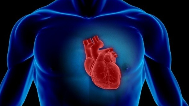 Ανακαλύφθηκε γονίδιο που συνδέεται με τον αιφνίδιο καρδιακό θάνατο