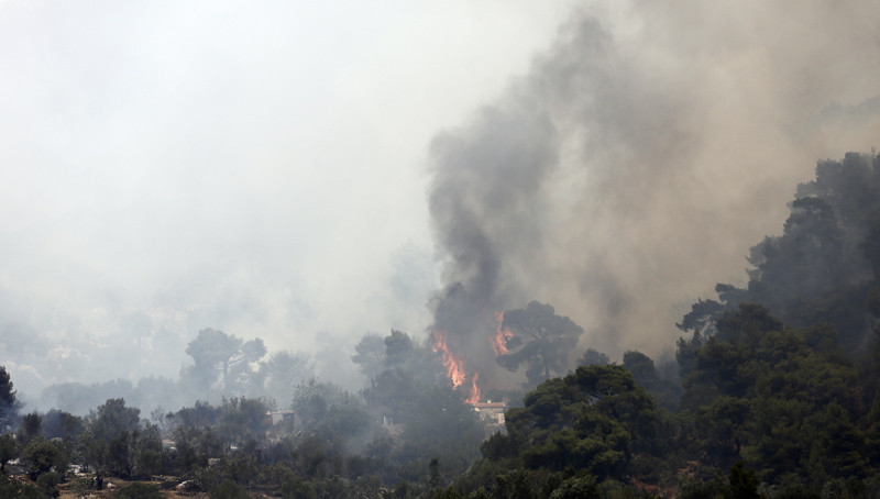 Κάηκαν 150 στρέμματα δάσους στον Πάρνωνα