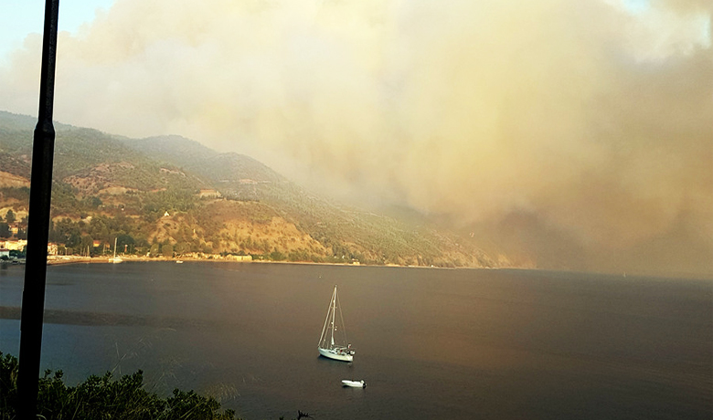 Σε εξέλιξη η μεγάλη φωτιά στη Φαράκλα Ευβοίας