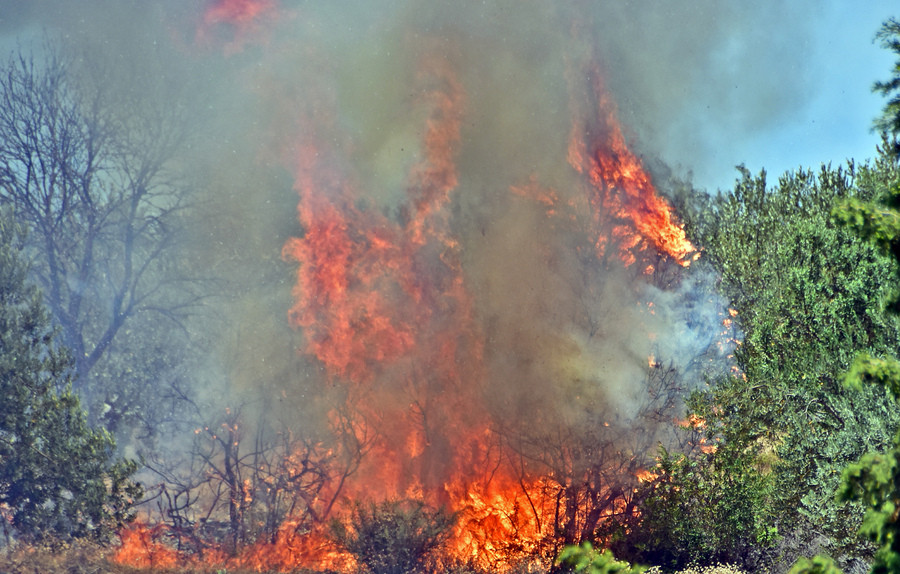 Σε ύφεση οι πυρκαγιές σε Ζάκυνθο και Γύθειο – Υπό έλεγχο τα μέτωπα στην Κέρκυρα