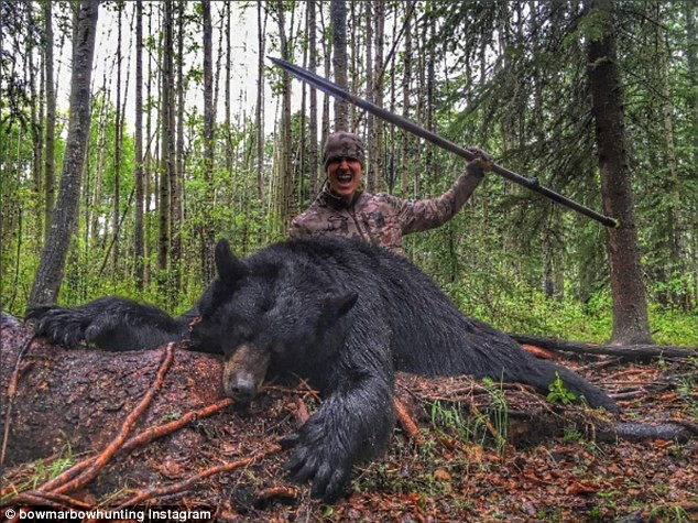 ΒΙΝΤΕΟ: Οργή για κυνηγό που σκοτώνει αρκούδα με αυτοσχέδιο ακόντιο και το κινηματογραφεί
