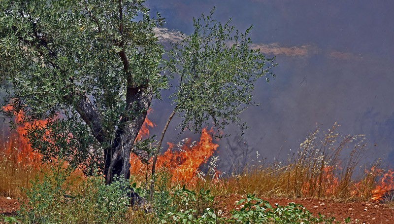 Υπό μερικό έλεγχο η πυρκαγιά στην περιοχή Καστρί, στη Νότια Εύβοια