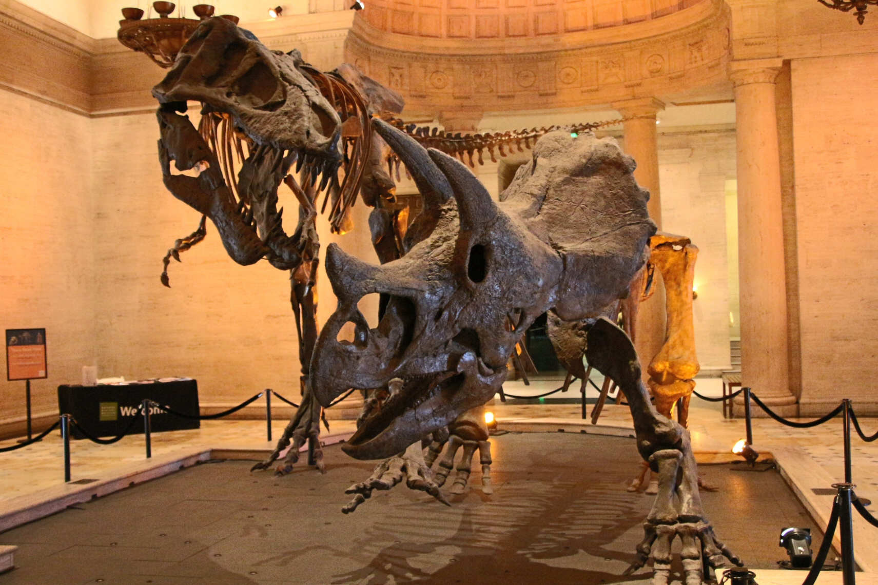 Ο κόσμος των δεινοσαύρων ζωντανεύει μέσα από τη νέα υπηρεσία Google Arts