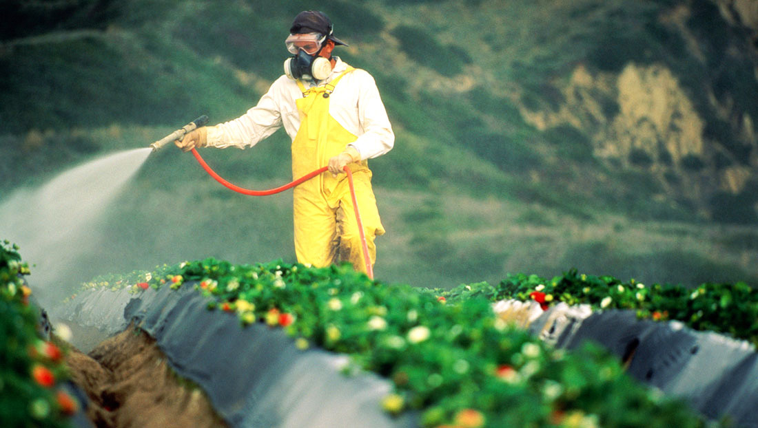 Έκλεισε η συμφωνία: Η Bayer αγοράζει τη  Monsanto