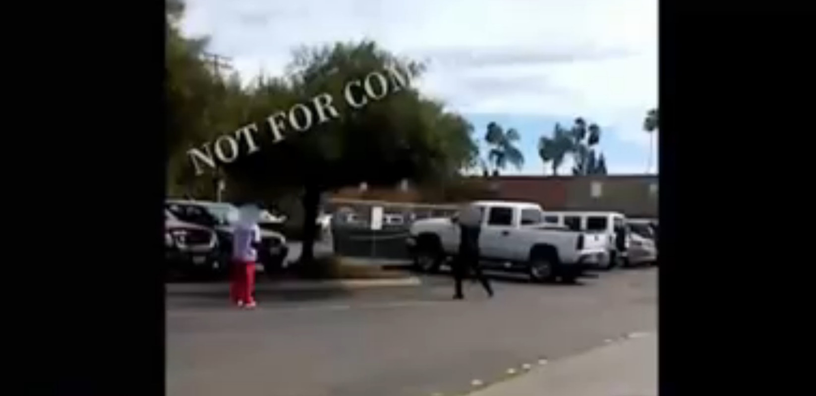 Βίντεο της δολοφονίας του Άλφρεντ Ολάνγκο από αστυνομικούς