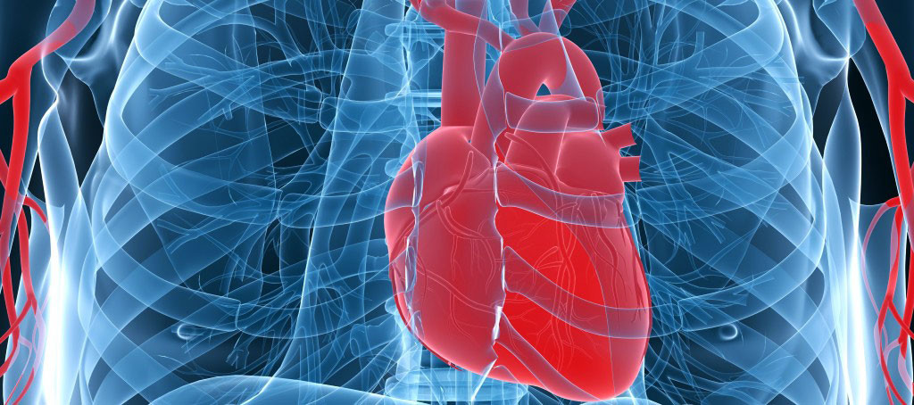 Επιστήμονες αναγέννησαν με βλαστοκύτταρα καρδιές μετά από έμφραγμα
