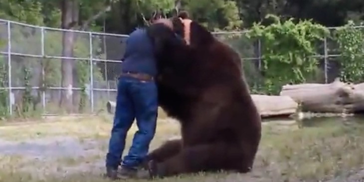 Βίντεο: Μια πραγματικά τρομακτική αγκαλιά από μια γιγάντια αρκούδα!