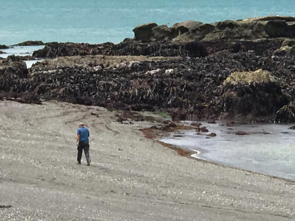 Ο σεισμός στη Νέα Ζηλανδία σήκωσε το βυθό 2 μέτρα πάνω από την άμμο! [ΒΙΝΤΕΟ