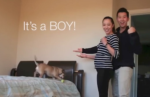 Εννέα μήνες εγκυμοσύνης σε ένα βίντεο 90 δευτερολέπτων
