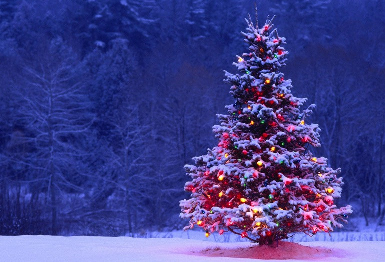 Από την αρχαία ειρεσιώνη στο χριστουγεννιάτικο δέντρο και στα κάλαντα