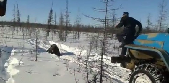 ΒΙΝΤΕΟ: Οδηγοί φορτηγών χτυπούν επίτηδες μια αρκούδα ξανά και ξανά