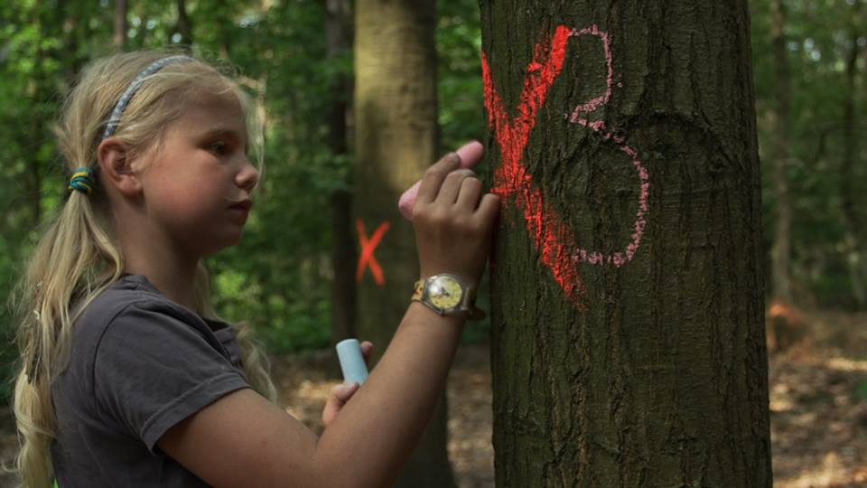 Προβολές βραβευμένων ντοκιμαντέρ για παιδιά και νέους: KinderDocs