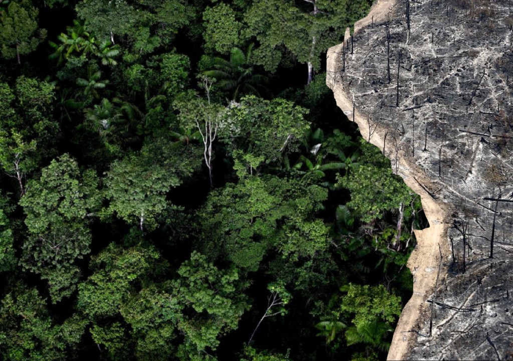 Η ομορφιά μαζί με την καταστροφή στο τροπικό δάσος του Αμαζονίου [ΦΩΤΟ]