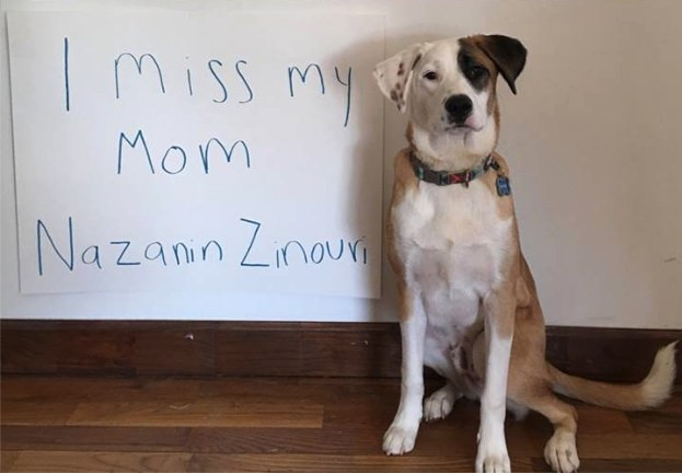 Ξαναβρήκε το σκύλο της που είχε χάσει λόγω του διατάγματος Τραμπ! [ΒΙΝΤΕΟ]
