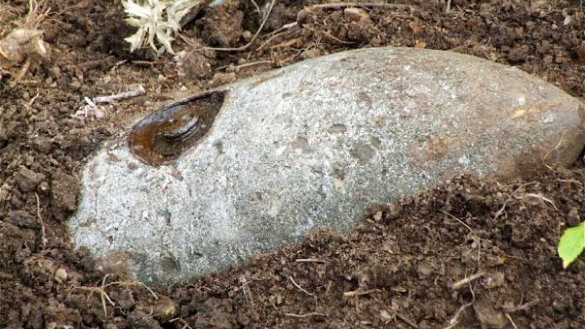Πώς θα γίνει η επιχείρηση εξουδετέρωσης της βόμβας που βρέθηκε στο Κορδελιό