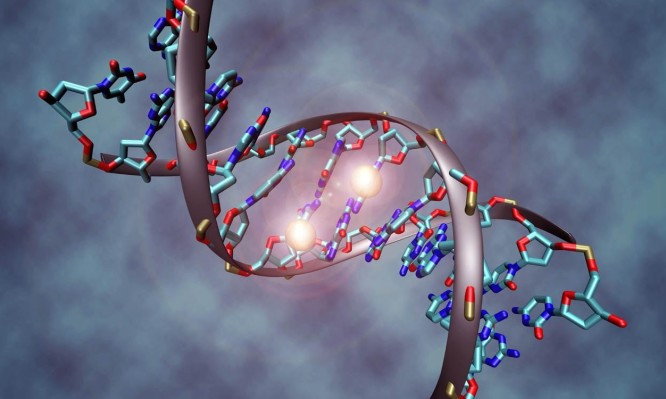 Έρχονται τα «έξυπνα» φάρμακα χάρη σε πρωτοποριακό υπολογιστή DNA