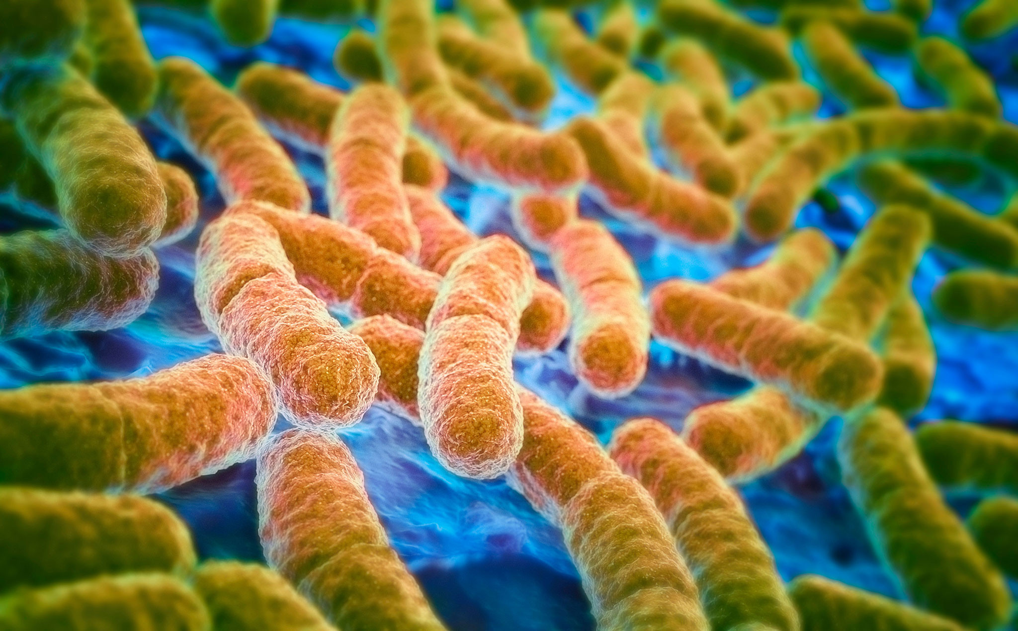 Ο κίνδυνος των υπερμικροβίων και η υπερκατανάλωση αντιβιοτικών