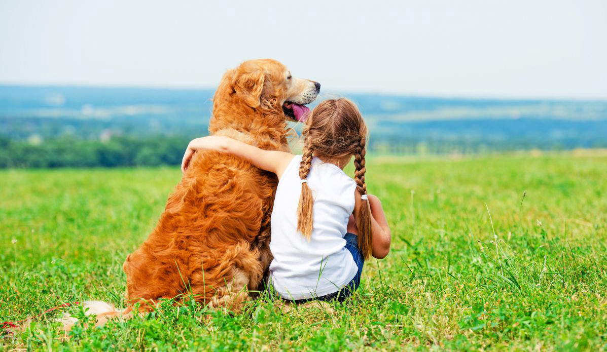 Τα σκυλιά έχουν ίδιο επίπεδο κοινωνικής νοημοσύνης με παιδιά δύο ετών
