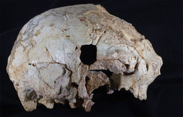 Προανθρώπινο κρανίο 400.000 ετών ανακαλύφθηκε στην Πορτογαλία