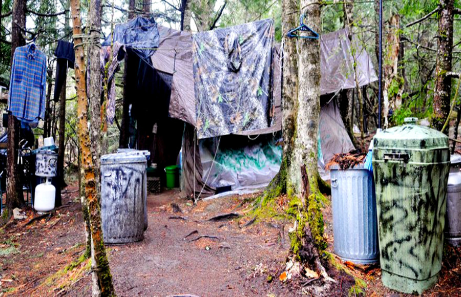 Ο αληθινός survivor που έζησε μόνος σε ένα δάσος για 27 χρόνια
