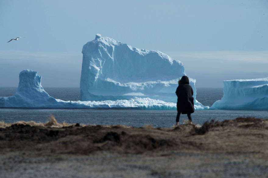 Παγόβουνο μεγαλύτερο από αυτό που βύθισε τον Τιτανικό πλέει έξω από καναδικό ψαροχώρι [ΦΩΤΟ+ΒΙΝΤΕΟ]