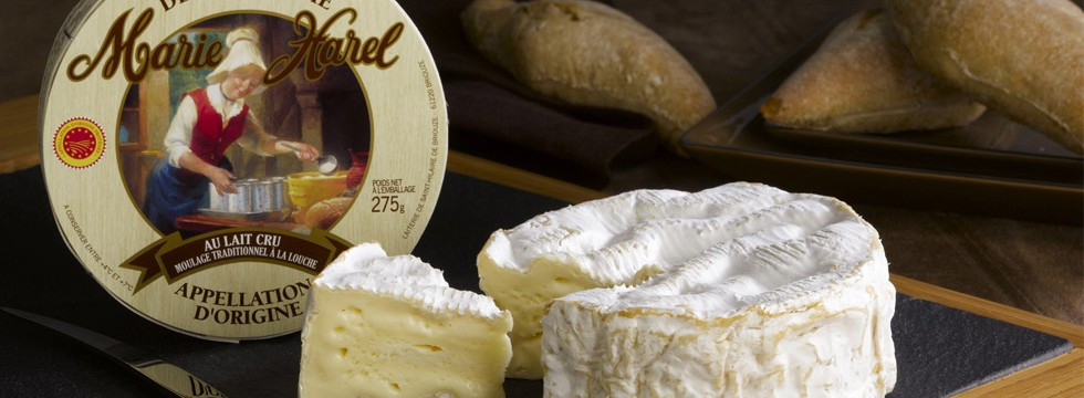 Η Google τιμά τη γυναίκα που ανακάλυψε το τυρί καμαμπέρ