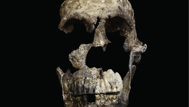 Ανακάλυψη: Homo naledi, ο άγνωστος συγγενής του ανθρώπου