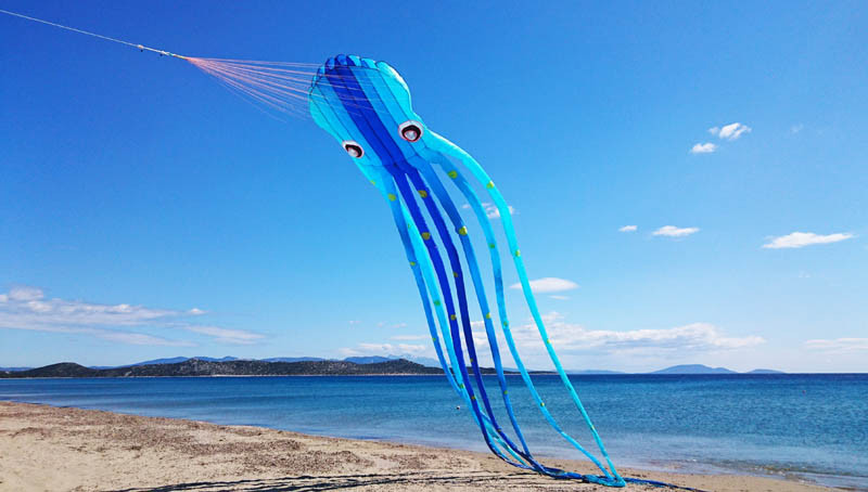 Γιγάντια ψάρια θα… κολυμπήσουν στον αττικό ουρανό στο 1ο Kite Parade
