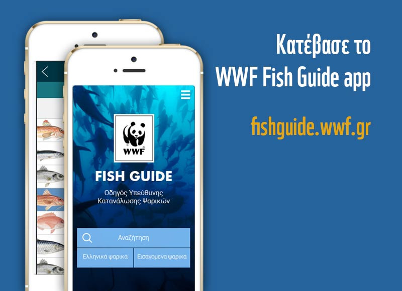 WWF Fish Guide App: Τι ψάρια θα καταναλώσεις αυτό το καλοκαίρι;