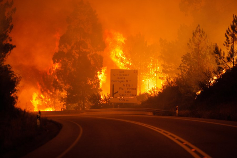 Πορτογαλία: Στους 43 οι νεκροί από τη δασική πυρκαγιά [BINTEO]