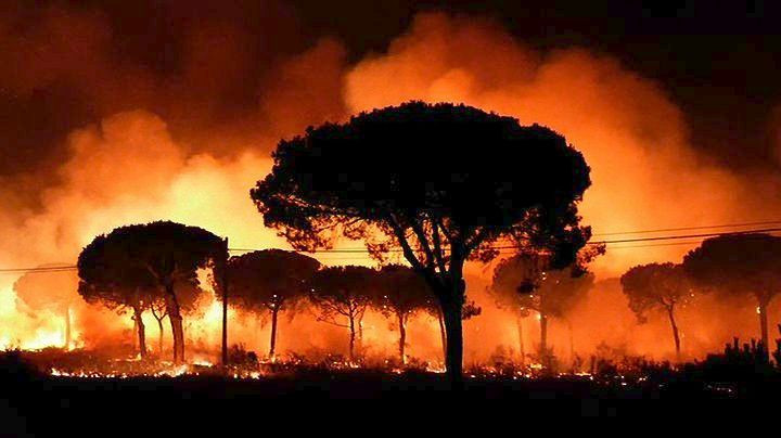 Χιλιάδες άνθρωποι εγκαταλείπουν τα σπίτια τους λόγω πυρκαγιάς στη νότιο Ισπανία