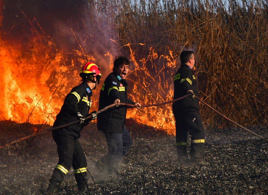 Πυρκαγιές σε Κρυονέρι και Κορώνη – Κινδύνευσαν σπίτια