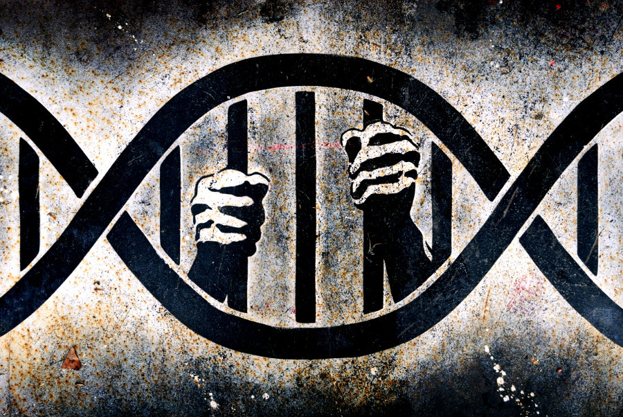 Βιοεπιστήμονες για Ηριάννα: Που κάνει λάθος η αστυνομία με το DNA
