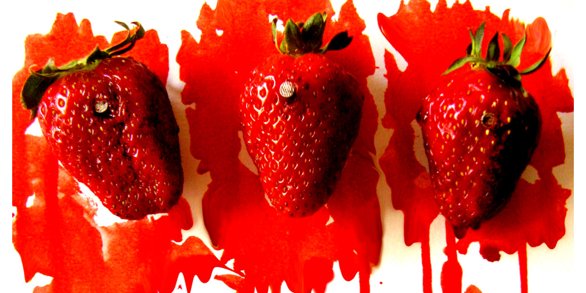 Ματωμένες Φράουλες και ευθύνες