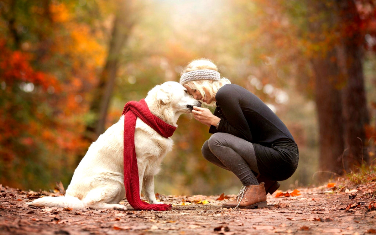 Φιλία σκύλων και ανθρώπων: Είναι θέμα γονιδιακό