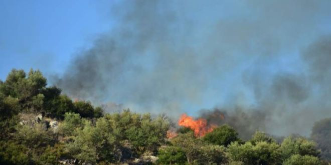 Πυρκαγιά σε εξέλιξη στα Καλύβια Αττικής