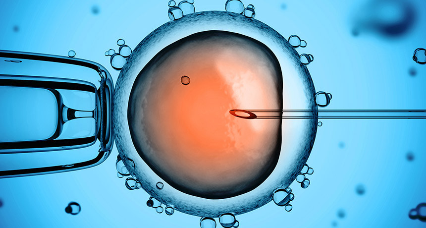 «Επιδιόρθωση» ελαττωματικού DNA σε ανθρώπινα έμβρυα
