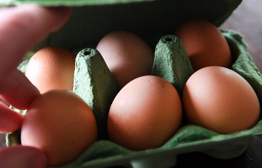 700.000 μολυσμένα αυγά πουλήθηκαν στους Βρετανούς από ολλανδικές φάρμες