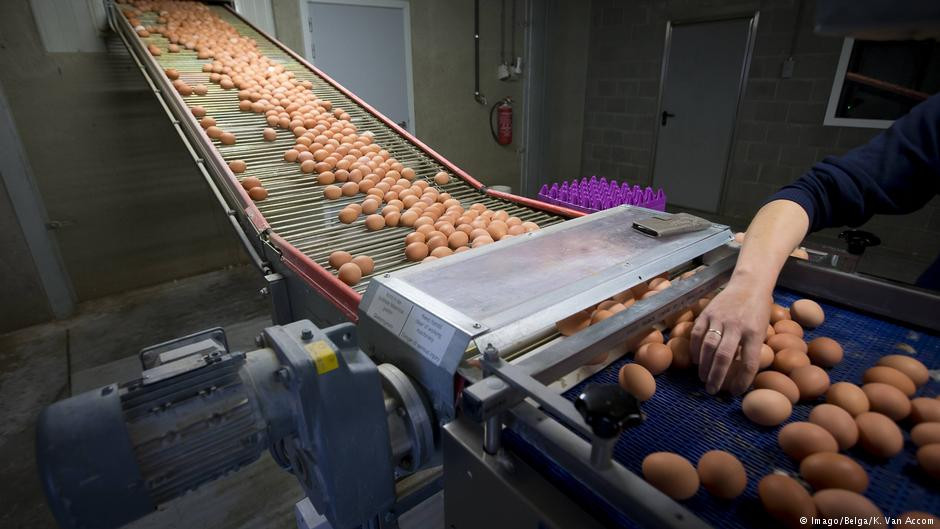 10,7 εκατομμύρια μολυσμένα αυγά στη Γερμανία