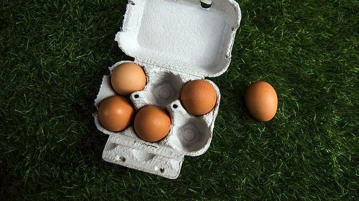 Μολυσμένα με fipronil αυγά εντοπίστηκαν και στην Ισπανία