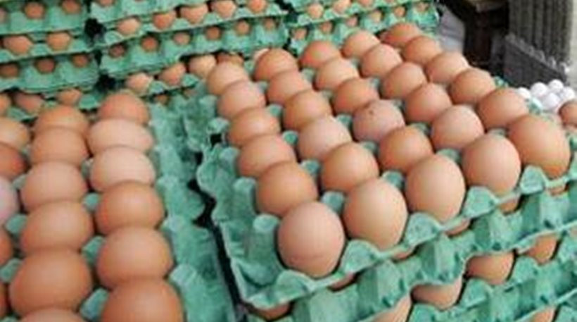 Αντιπρόεδρος του ΕΦΕΤ: «Τα εγχώριας παραγωγής αβγά είναι ασφαλή»